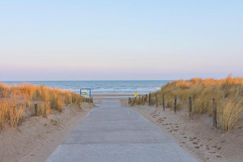 Bed & Beach Noordwijk - Free Parking And Close To Beach! Exterior photo