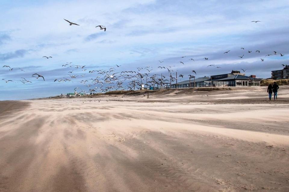 Bed & Beach Noordwijk - Free Parking And Close To Beach! Exterior photo